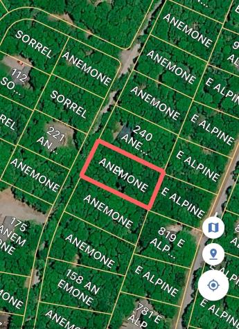 163 Anemone Lane Terra Alta WV 26764