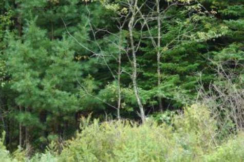 4 Flag Run Drive Davis WV 26260