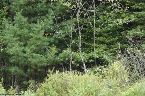 4 Flag Run Drive Davis WV 26260