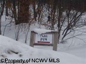 4 Flag Run Drive Davis WV 26260