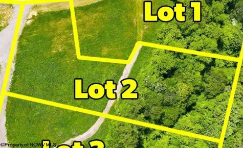 2 Laurel Run Pisgah Road Bruceton Mills WV 26525