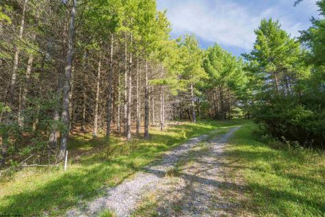 10 Pyrite Lane Davis WV 26260