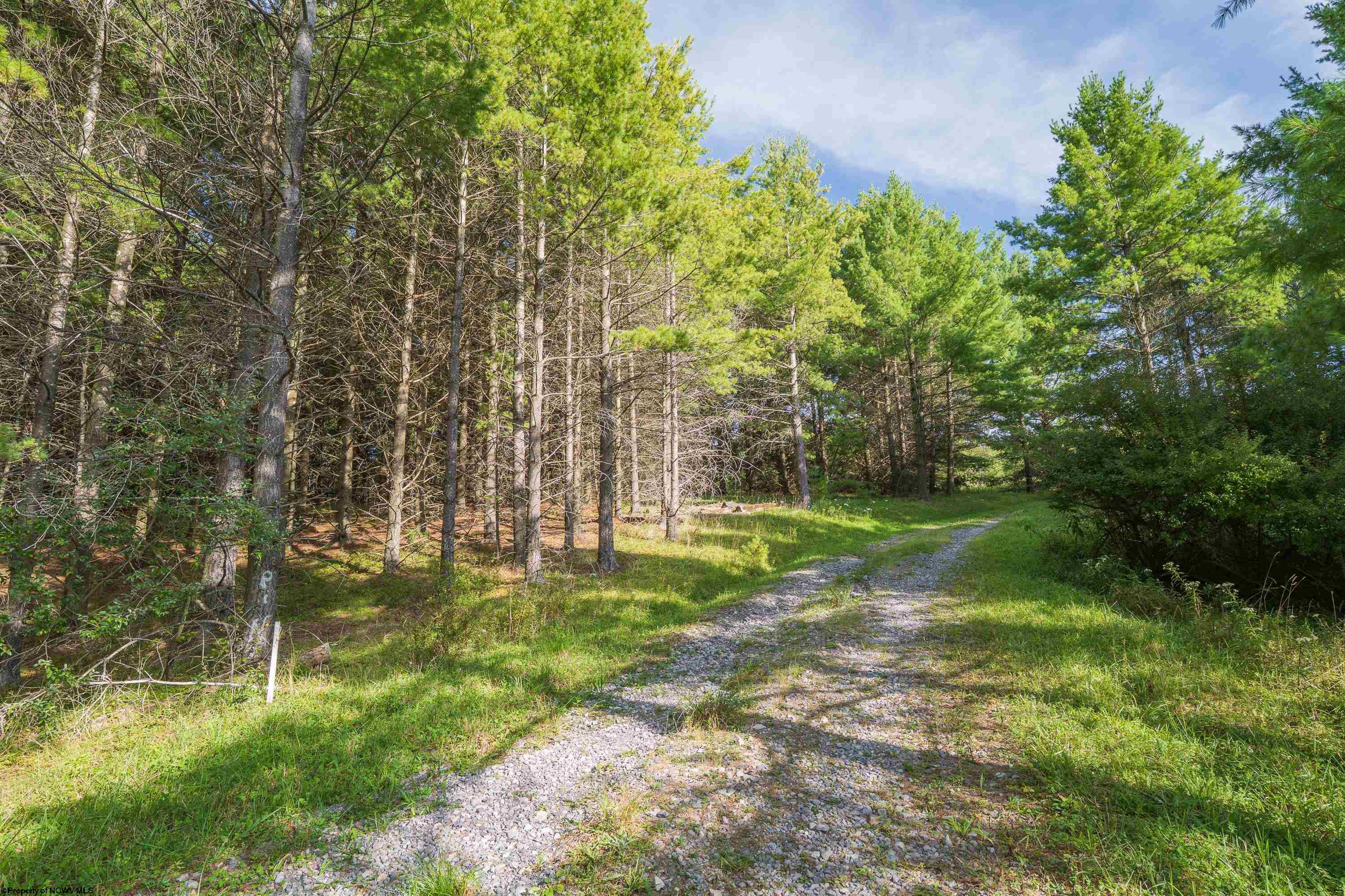 10 Pyrite Lane Davis WV 26260