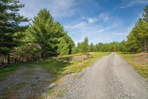 10 Pyrite Lane Davis WV 26260