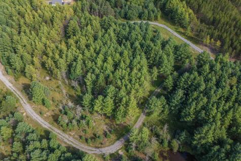10 Pyrite Lane Davis WV 26260