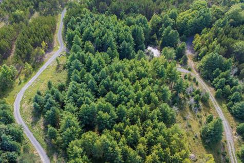 10 Pyrite Lane Davis WV 26260