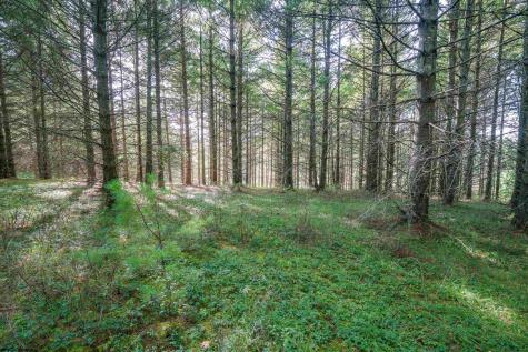 10 Pyrite Lane Davis WV 26260