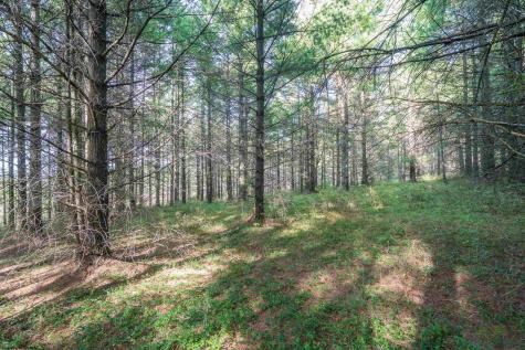 10 Pyrite Lane Davis WV 26260