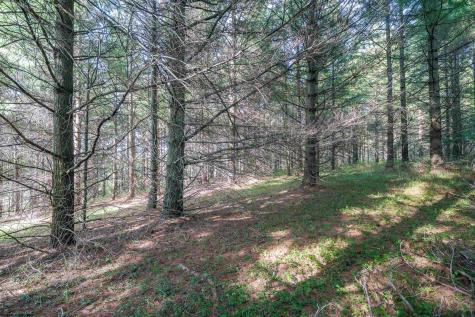 10 Pyrite Lane Davis WV 26260