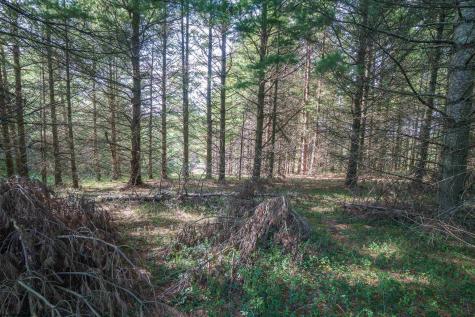 10 Pyrite Lane Davis WV 26260