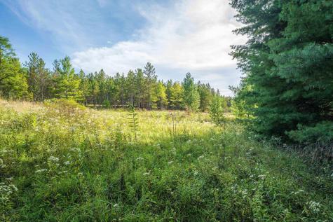 10 Pyrite Lane Davis WV 26260