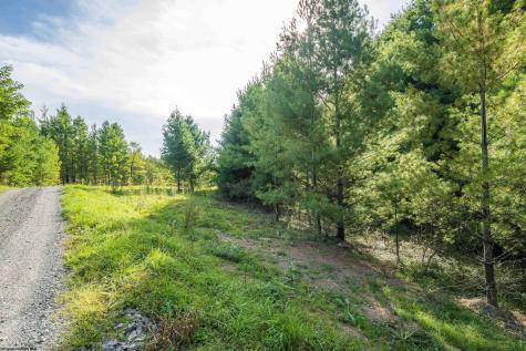 10 Pyrite Lane Davis WV 26260