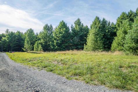 10 Pyrite Lane Davis WV 26260