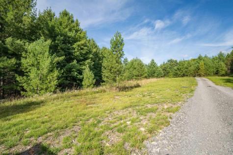 10 Pyrite Lane Davis WV 26260