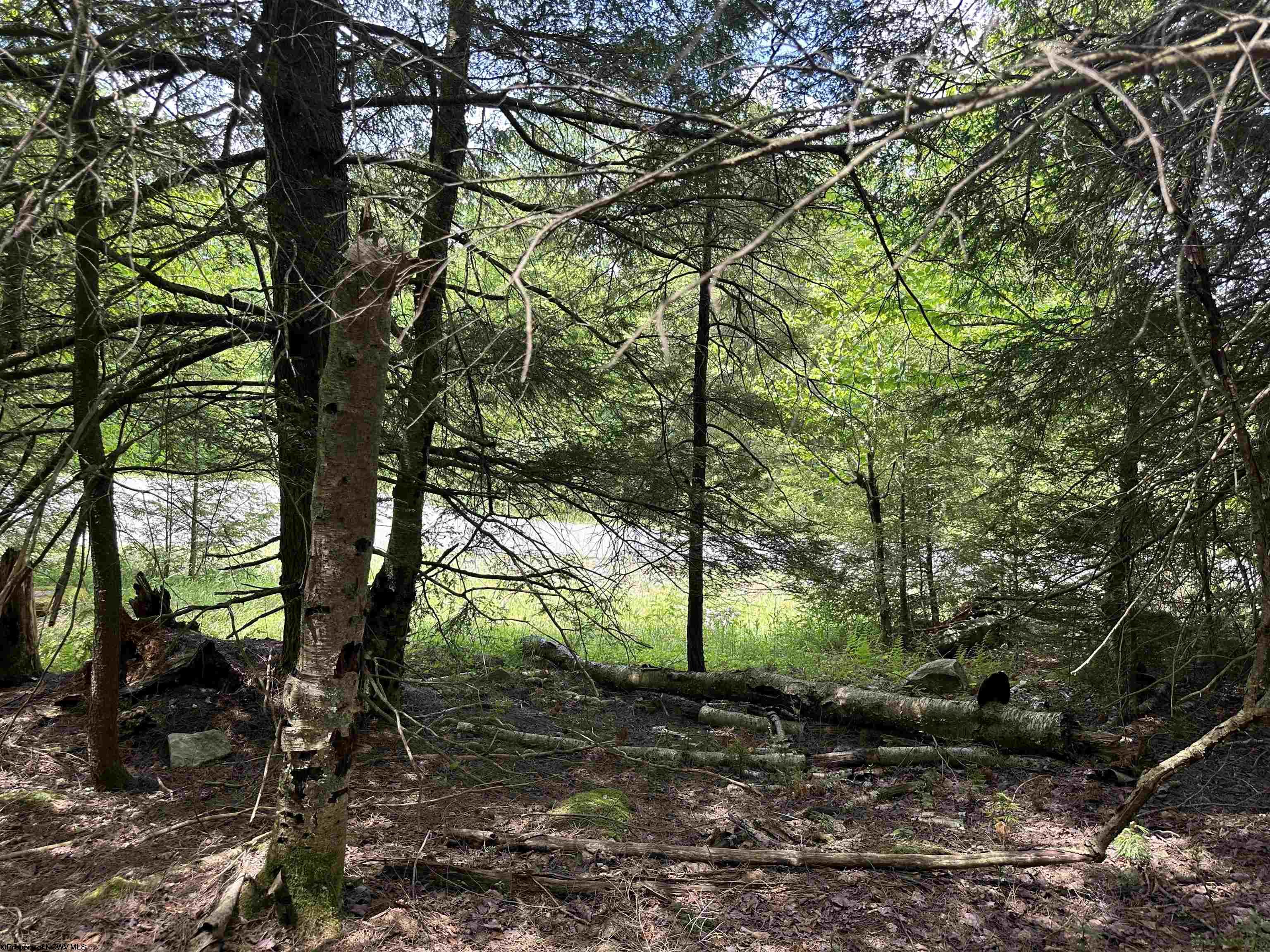 96 Gondola Court Davis WV 26260