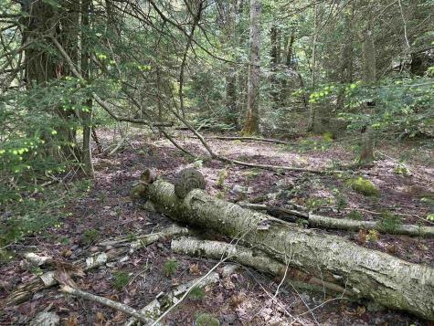 96 Gondola Court Davis WV 26260