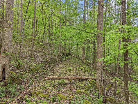 0 Flat Run Road Ireland WV 26376