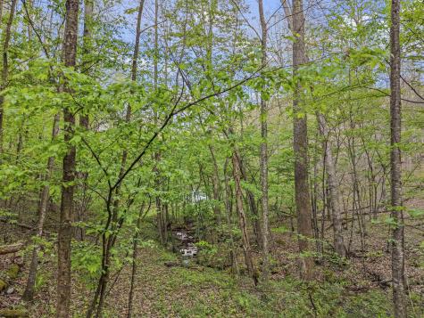 0 Flat Run Road Ireland WV 26376