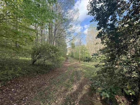 0 Flat Run Road Ireland WV 26376