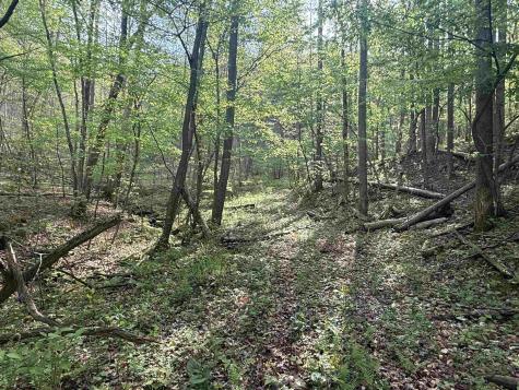 0 Flat Run Road Ireland WV 26376