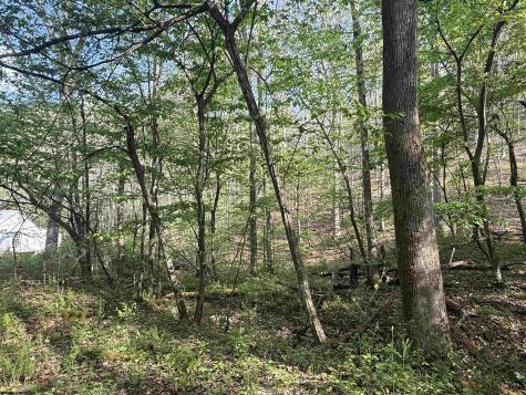 0 Flat Run Road Ireland WV 26376