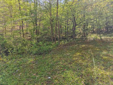 0 Flat Run Road Ireland WV 26376