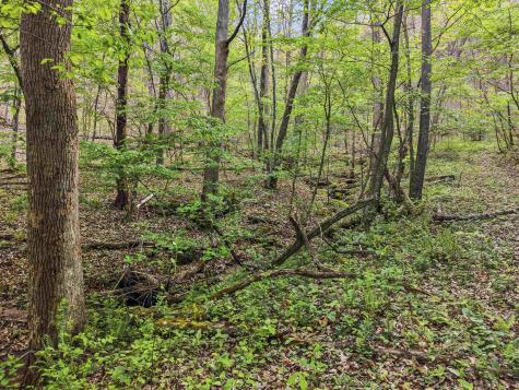 0 Flat Run Road Ireland WV 26376