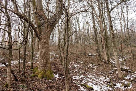 1 Huey Run Road Mannington WV 26582
