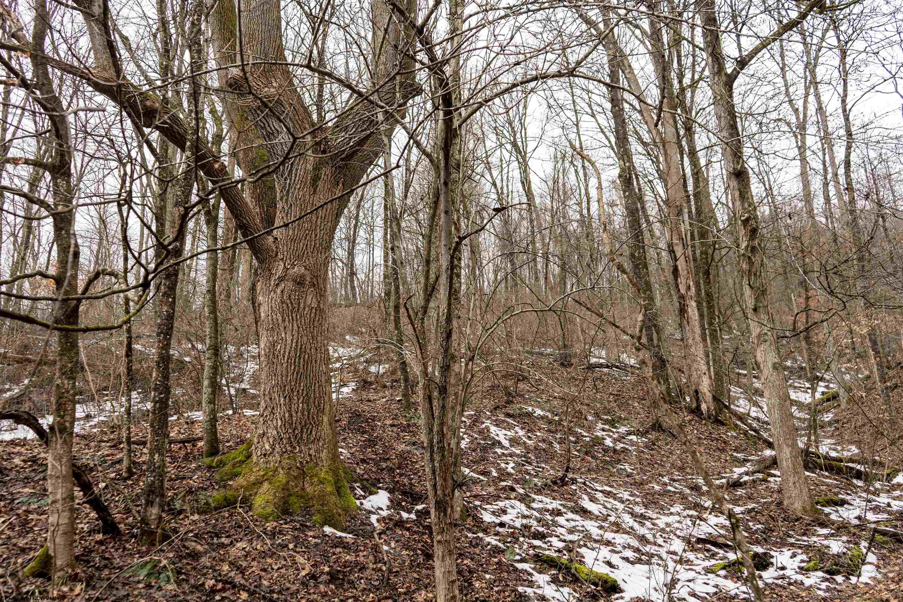 1 Huey Run Road Mannington WV 26582