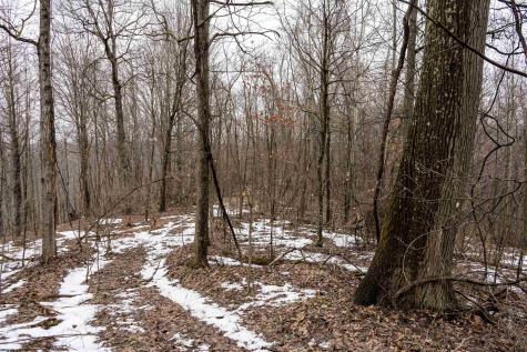 1 Huey Run Road Mannington WV 26582