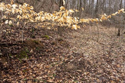 1 Huey Run Road Mannington WV 26582