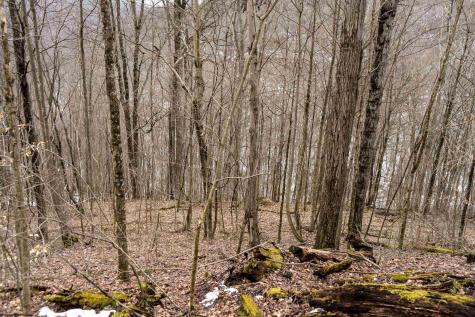 1 Huey Run Road Mannington WV 26582