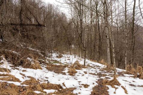 1 Huey Run Road Mannington WV 26582