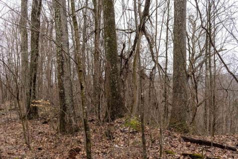 1 Huey Run Road Mannington WV 26582