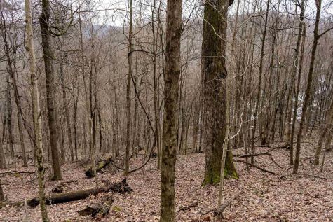 1 Huey Run Road Mannington WV 26582