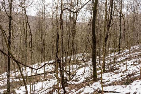 1 Huey Run Road Mannington WV 26582