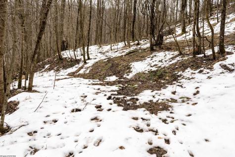 1 Huey Run Road Mannington WV 26582