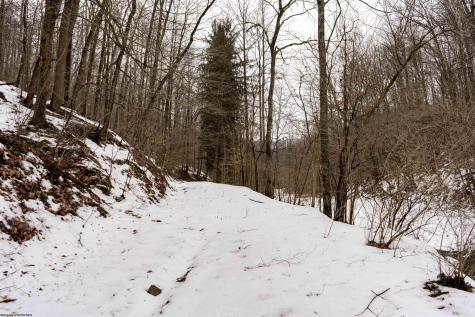 1 Huey Run Road Mannington WV 26582