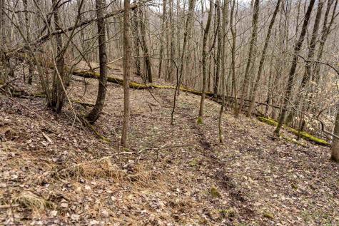 1 Huey Run Road Mannington WV 26582