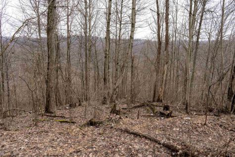 1 Huey Run Road Mannington WV 26582