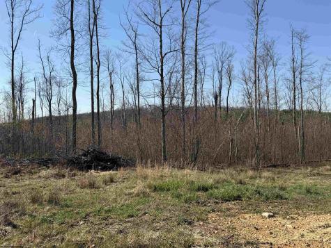 3 N Poplar Ridge Bruceton Mills WV 26525