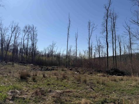 3 N Poplar Ridge Bruceton Mills WV 26525