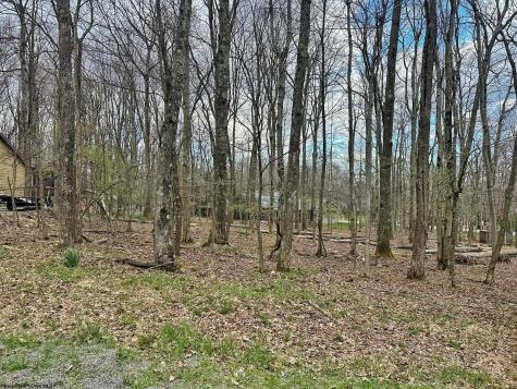 0 Anemone Lane Terra Alta WV 26764