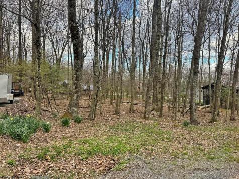 0 Anemone Lane Terra Alta WV 26764