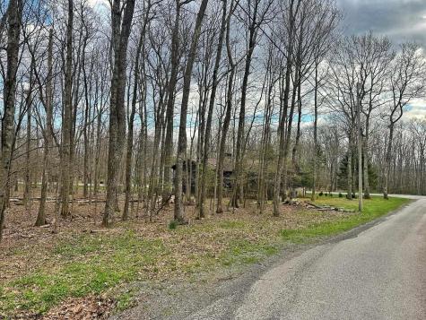 0 Anemone Lane Terra Alta WV 26764