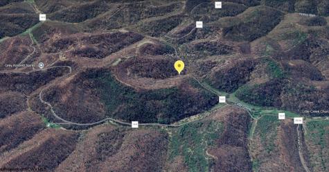 10 Little Rowels Run Road Creston WV 26141