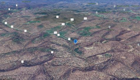 10 Little Rowels Run Road Creston WV 26141