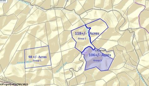 10 Little Rowels Run Road Creston WV 26141