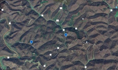 10 Little Rowels Run Road Creston WV 26141