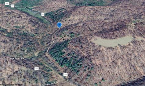 10 Little Rowels Run Road Creston WV 26141